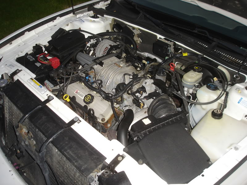 Name:  DSC08760.jpg
Views: 45
Size:  108.0 KB