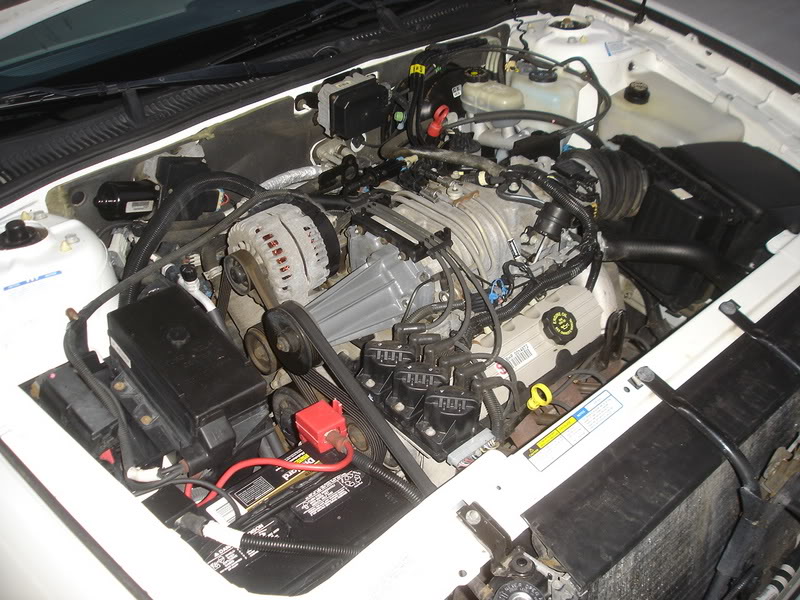 Name:  DSC08761.jpg
Views: 42
Size:  122.7 KB