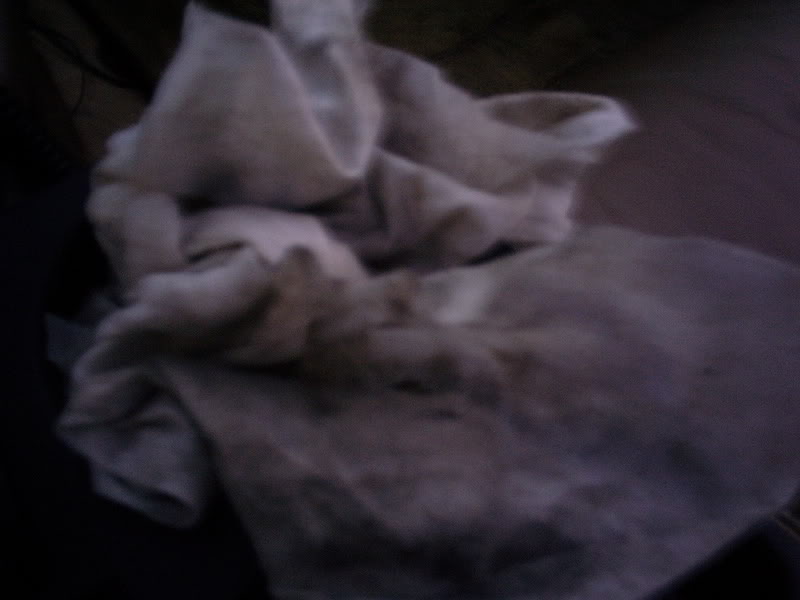 Name: DIGI0100.jpg
Views: 133
Size: 39.9 KB