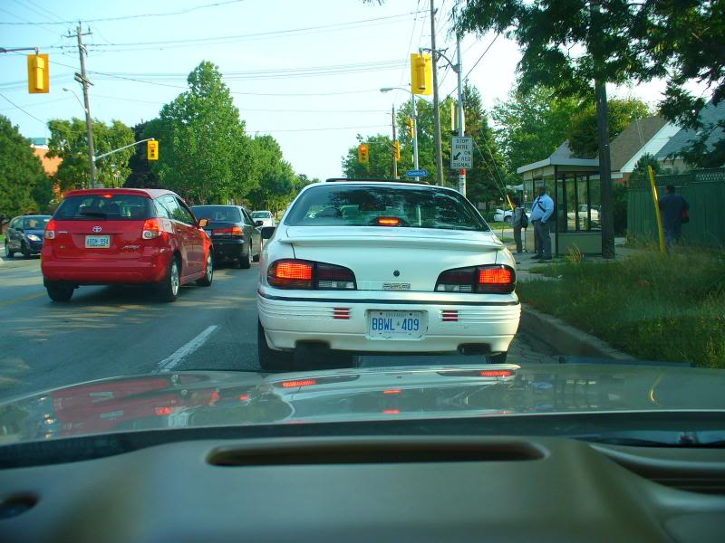 Name:  256mcardphotos203.jpg
Views: 47
Size:  84.1 KB