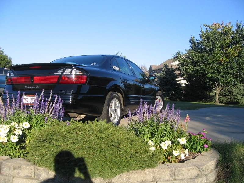 Name:  Bonneville012.jpg
Views: 25
Size:  134.7 KB
