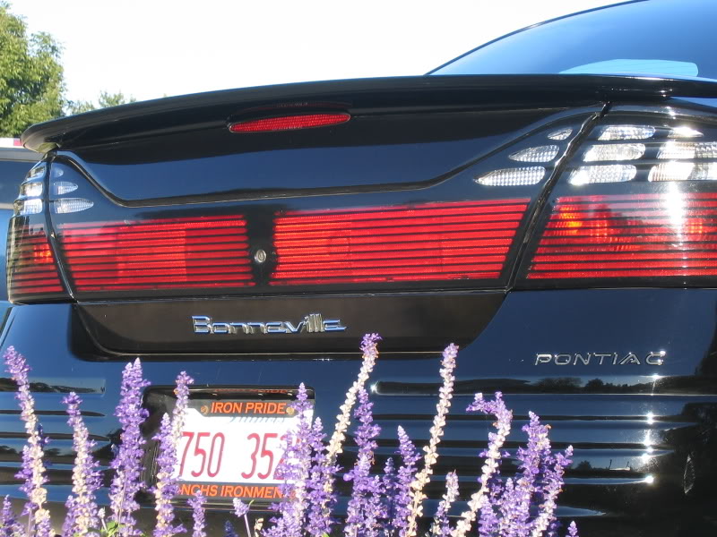 Name:  Bonneville013.jpg
Views: 34
Size:  112.2 KB