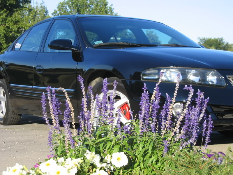 Name:  Bonneville011.jpg
Views: 35
Size:  139.3 KB
