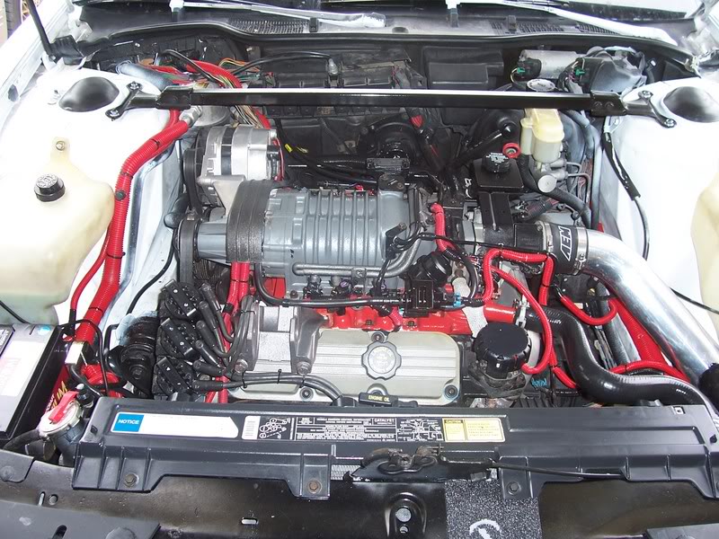Name:  100_2787.jpg
Views: 24
Size:  133.5 KB