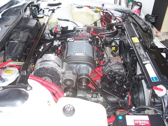 Name:  100_2788.jpg
Views: 27
Size:  85.8 KB