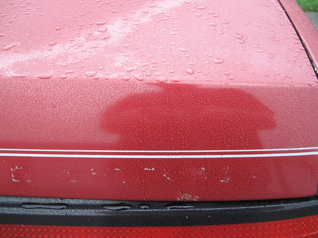 Name: IMG_0374.jpg
Views: 53
Size: 161.4 KB