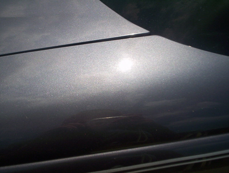 Name: 000_1479.jpg
Views: 127
Size: 70.4 KB