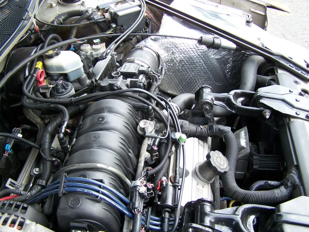Name: CAI006.jpg
Views: 34
Size: 213.7 KB