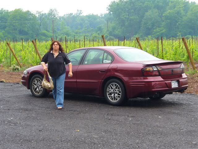 Name:  P1010478.jpg
Views: 45
Size:  64.4 KB