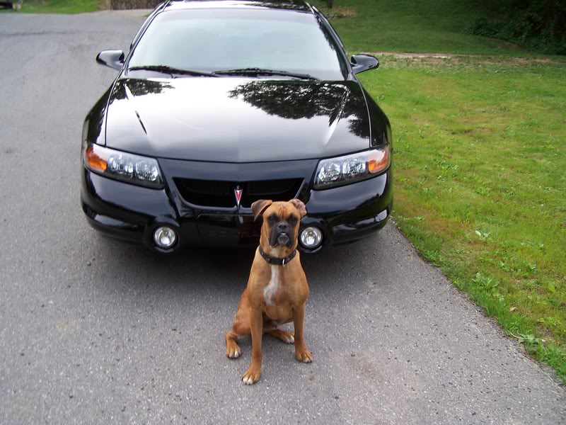 Name:  bonnieclyde003.jpg
Views: 46
Size:  103.5 KB