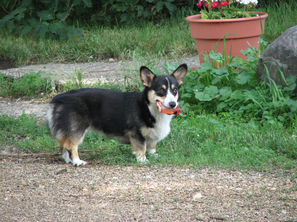 Name:  IMG_0691.jpg
Views: 26
Size:  246.1 KB