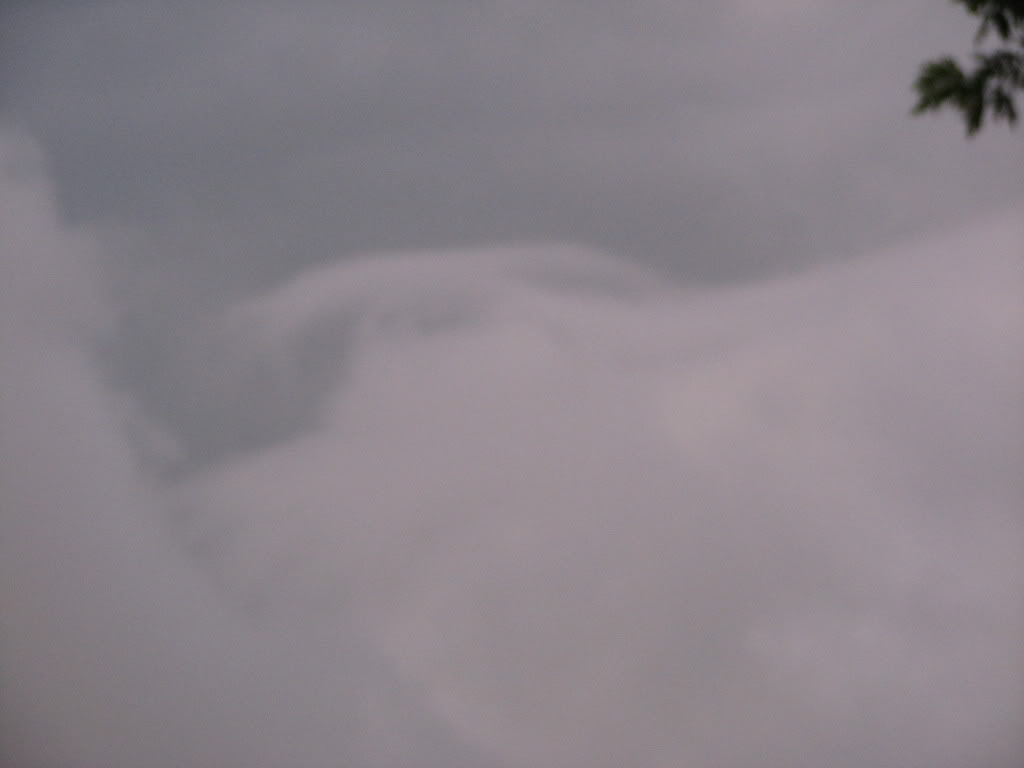 Name:  IMG_0757.jpg
Views: 22
Size:  25.3 KB