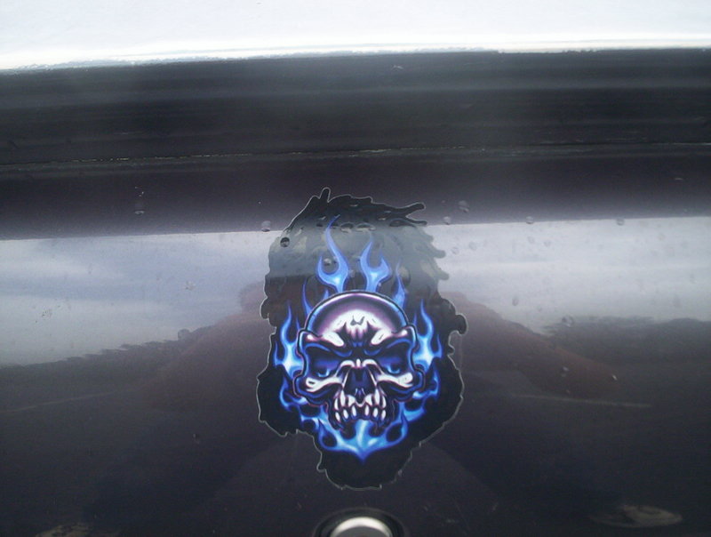Name:  000_1411.jpg
Views: 38
Size:  56.6 KB