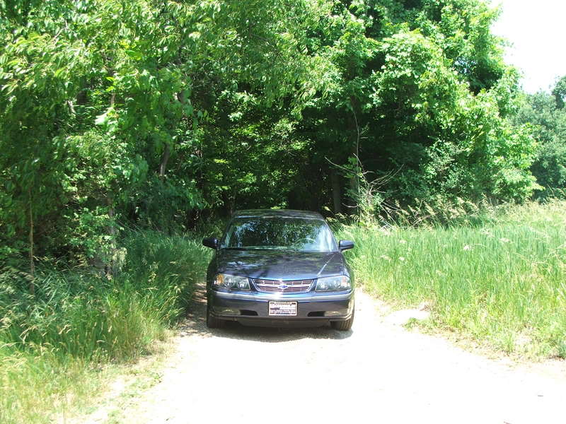 Name:  DSCF0864.jpg
Views: 62
Size:  107.8 KB