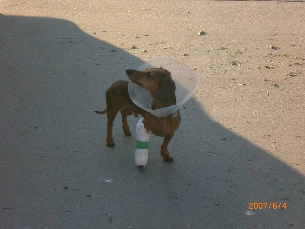 Name:  bonn007.jpg
Views: 69
Size:  127.1 KB