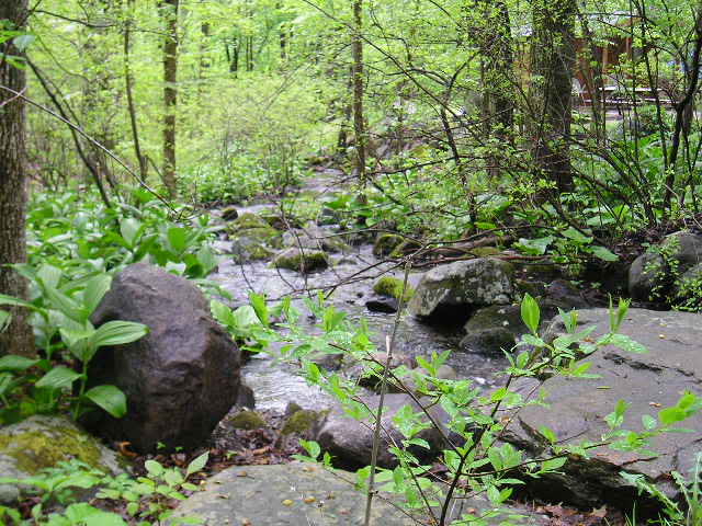 Name: Picture443.jpg
Views: 57
Size: 66.7 KB