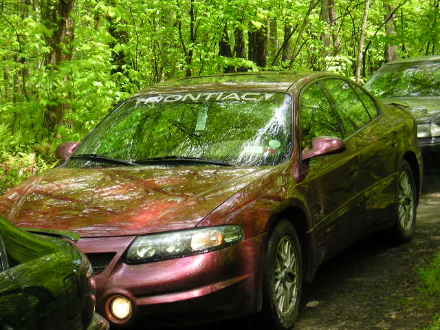 Name: Picture448.jpg
Views: 50
Size: 64.4 KB