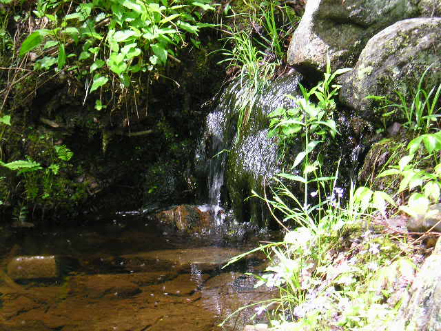Name: Picture451.jpg
Views: 54
Size: 66.1 KB