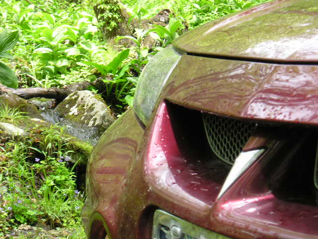 Name: Picture453.jpg
Views: 52
Size: 55.6 KB
