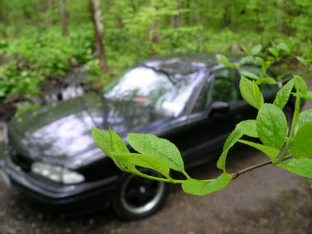 Name: Picture457.jpg
Views: 54
Size: 46.6 KB