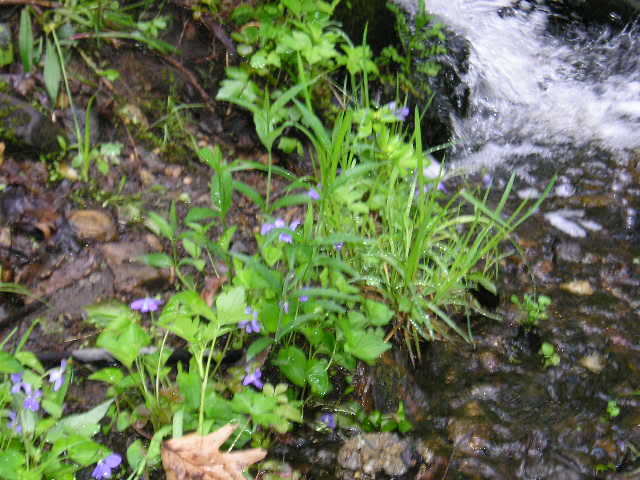 Name: Picture458.jpg
Views: 57
Size: 55.1 KB
