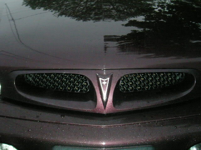 Name: Picture286.jpg
Views: 45
Size: 48.0 KB