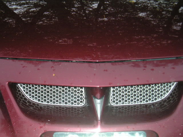 Name: Picture289.jpg
Views: 51
Size: 49.8 KB