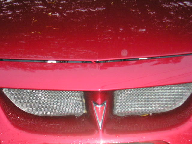 Name: Picture290.jpg
Views: 43
Size: 47.9 KB