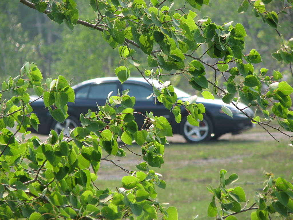 Name: IMG_0501-1.jpg
Views: 39
Size: 180.0 KB