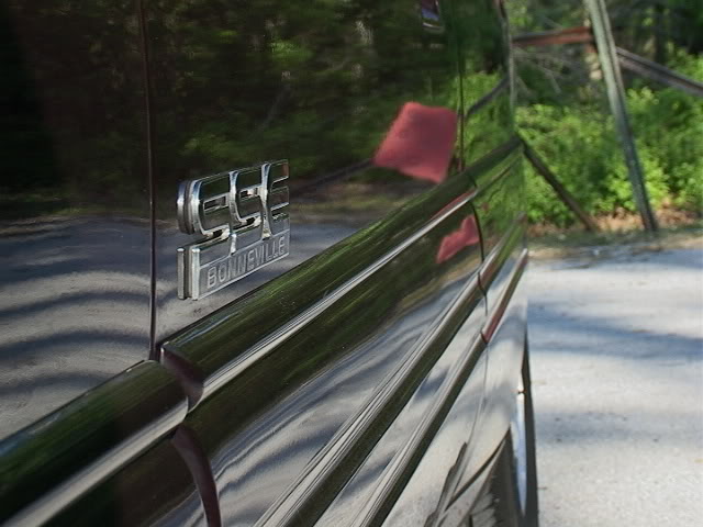 Name: DSC00027-1.jpg
Views: 56
Size: 52.8 KB