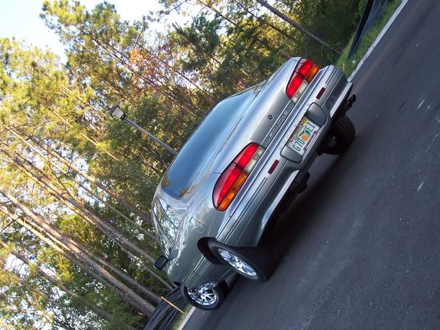 Name:  100_013.jpg
Views: 28
Size:  102.3 KB