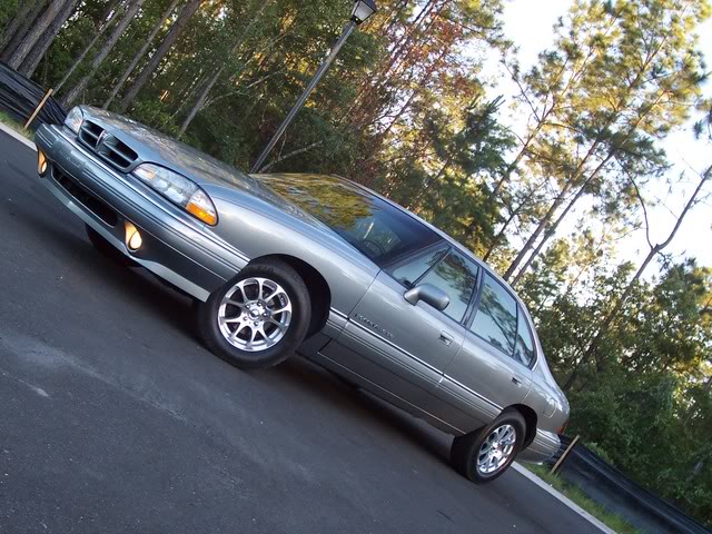 Name:  100_021.jpg
Views: 24
Size:  95.6 KB