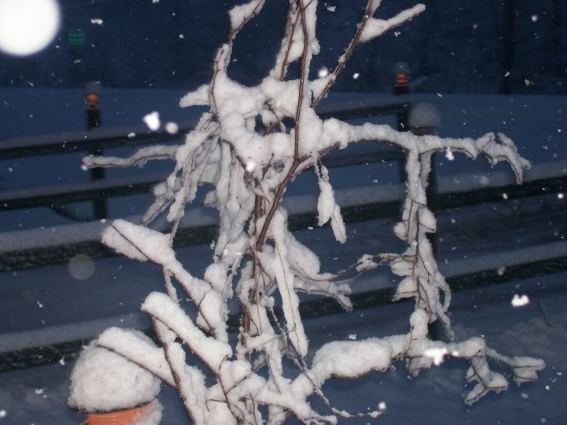 Name:  100_2880.jpg
Views: 58
Size:  73.8 KB