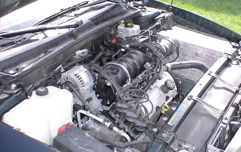 Name: globlinmotor.jpg
Views: 37
Size: 108.8 KB