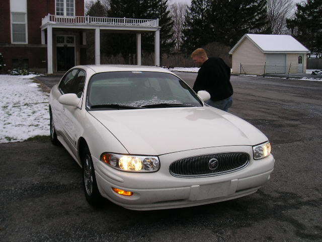 Name:  minimeetCheetah015.jpg
Views: 56
Size:  47.8 KB