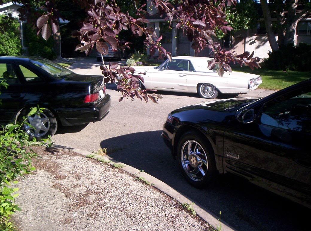 Name: March17016.jpg
Views: 53
Size: 177.1 KB