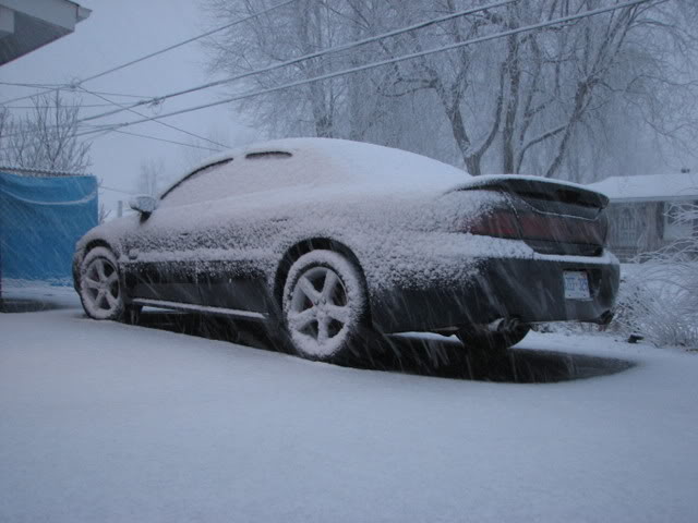 Name:  IMG_0295.jpg
Views: 34
Size:  46.7 KB