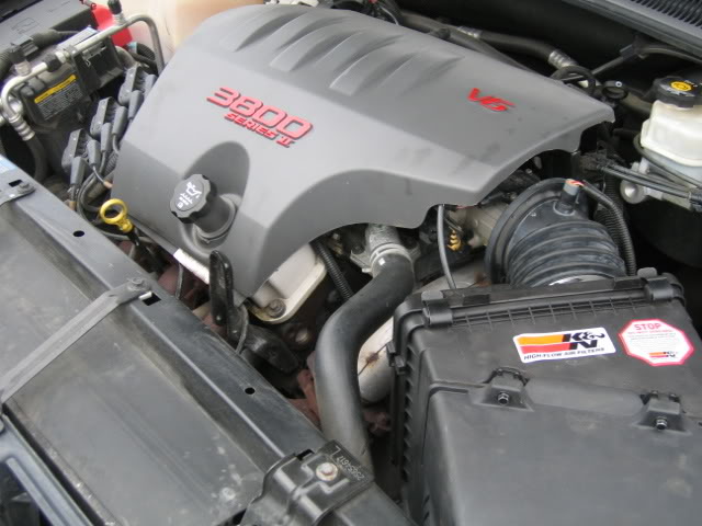 Name: bonneville008.jpg
Views: 43
Size: 54.0 KB