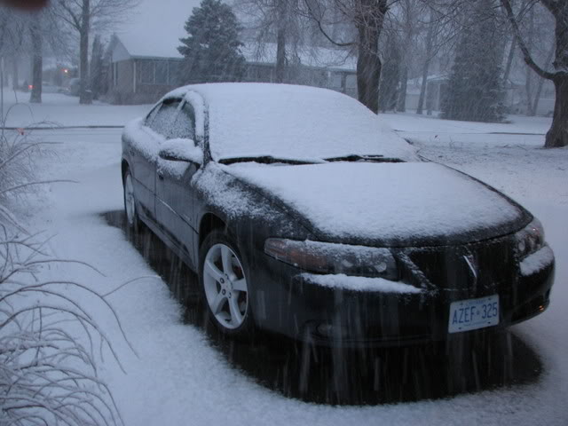 Name:  IMG_0294.jpg
Views: 31
Size:  51.5 KB