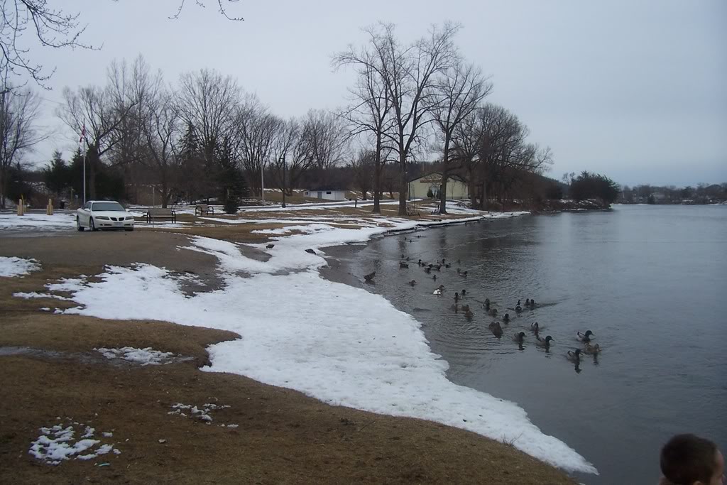 Name:  000_0067.jpg
Views: 37
Size:  121.9 KB