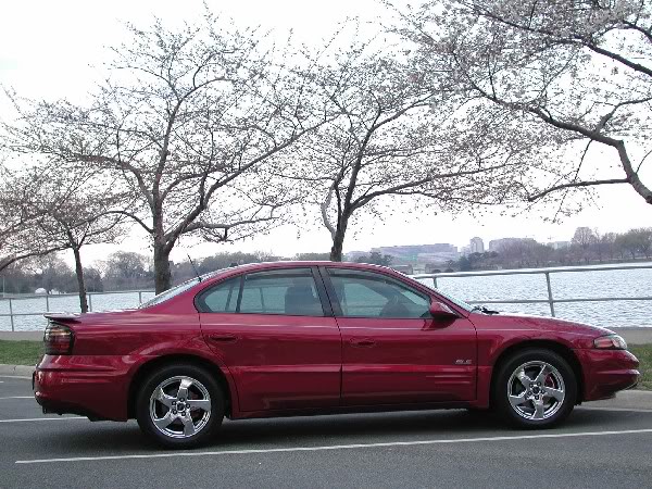 Name:  DSCN7641A.jpg
Views: 36
Size:  101.8 KB