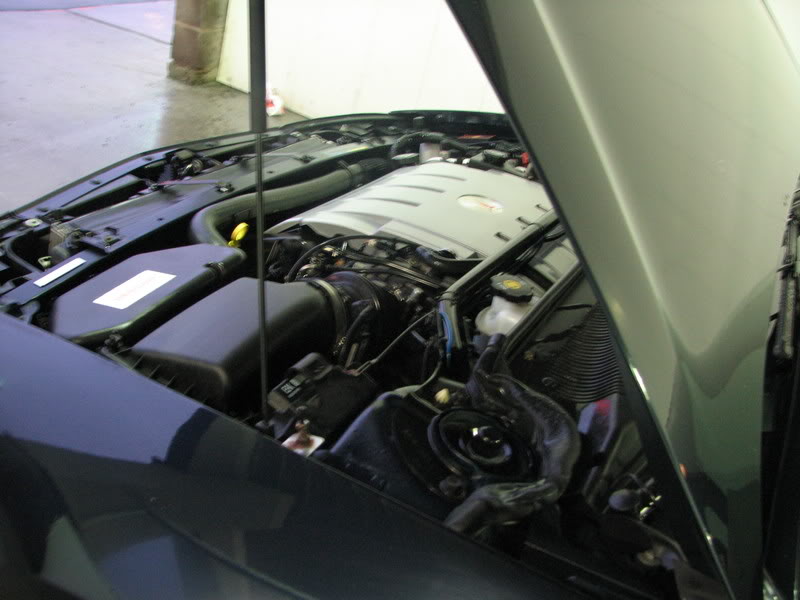 Name:  IMG_0240.jpg
Views: 66
Size:  62.4 KB