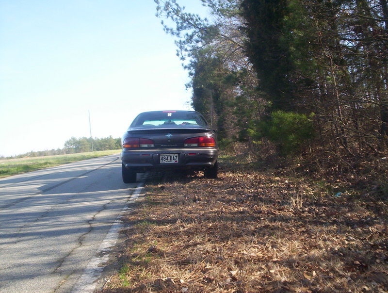 Name:  000_1294.jpg
Views: 43
Size:  138.4 KB
