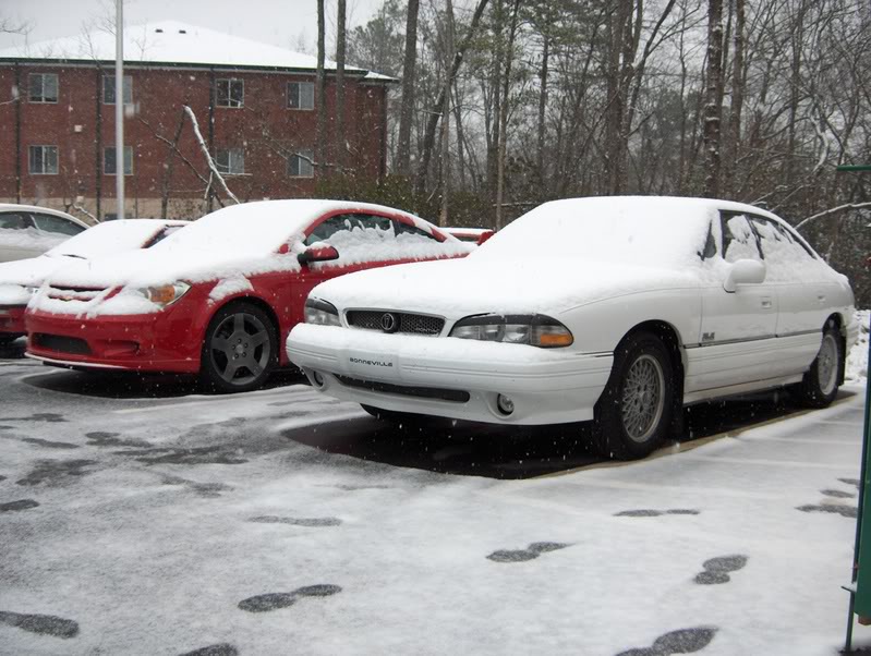 Name:  SnowinFeb07009.jpg
Views: 110
Size:  104.5 KB