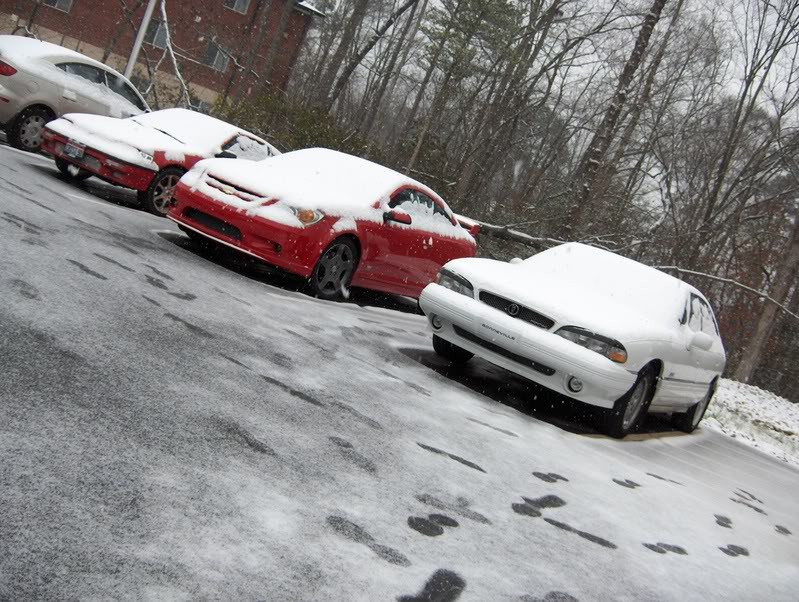 Name:  SnowinFeb07003.jpg
Views: 32
Size:  134.1 KB