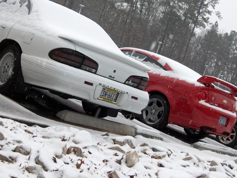 Name:  SnowinFeb07005.jpg
Views: 32
Size:  112.7 KB