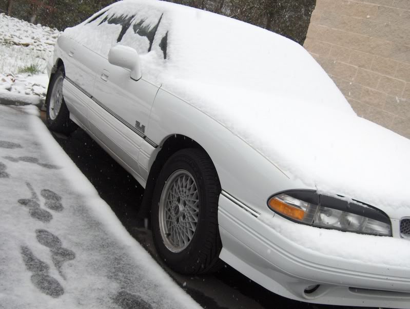 Name:  SnowinFeb07012.jpg
Views: 35
Size:  69.6 KB