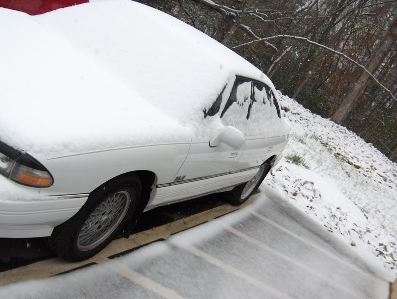 Name:  SnowinFeb07013.jpg
Views: 37
Size:  81.7 KB