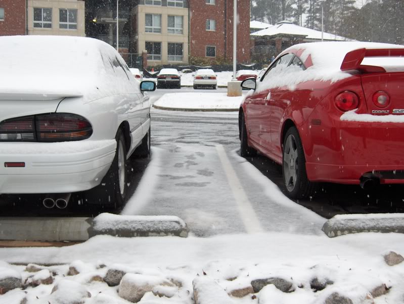 Name:  SnowinFeb07018.jpg
Views: 36
Size:  81.9 KB