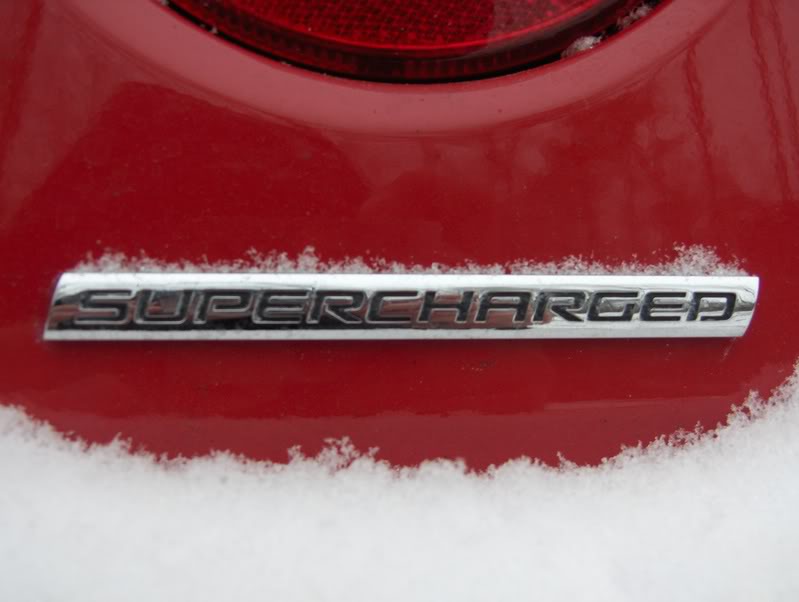 Name:  SnowinFeb07017.jpg
Views: 34
Size:  42.0 KB